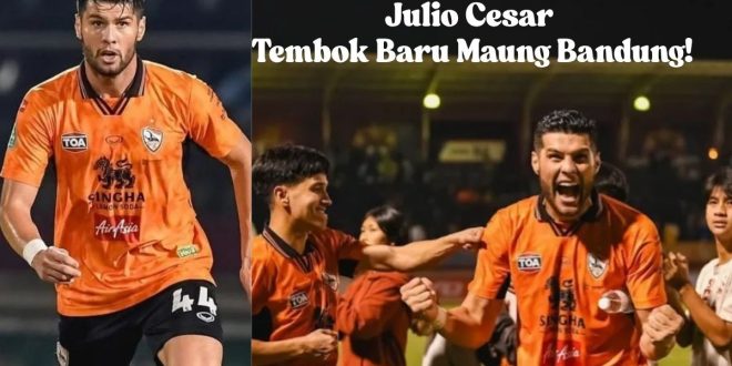 Julio Cesar Persib Bandung