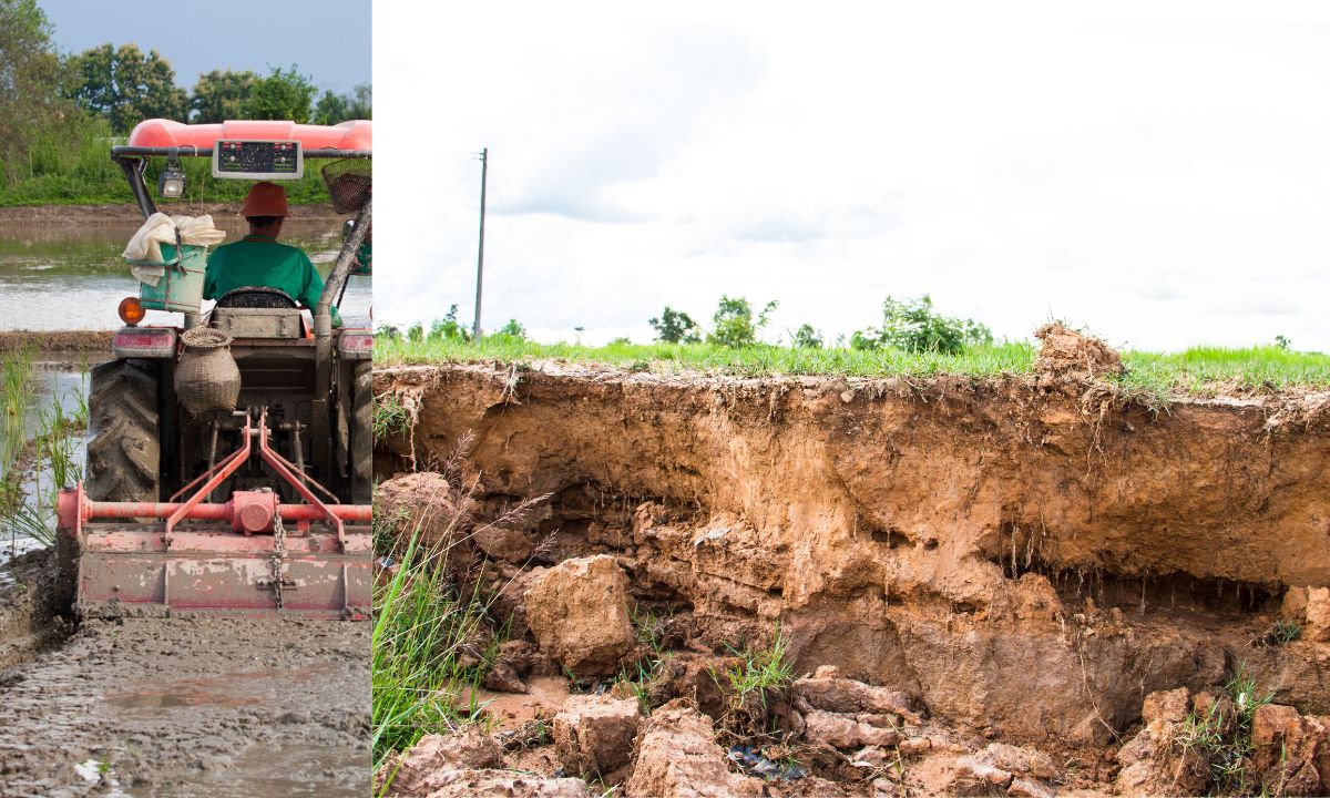 15 Dampak Traktor yang Wajib Anda Ketahui!