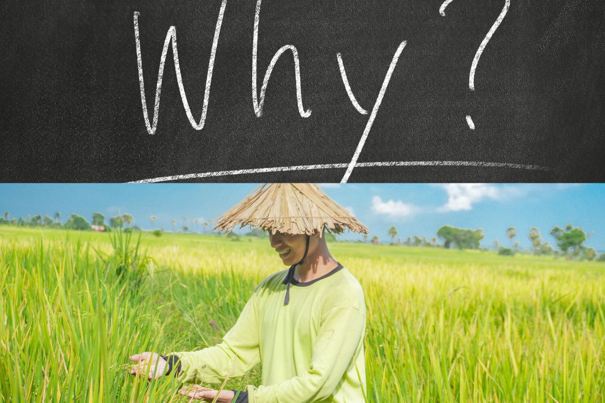 Teknologi Tepat Guna